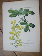 Antiquität chromo lithographi gebraucht kaufen  Krefeld