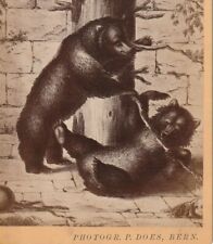 Does ours gravure d'occasion  Dijon