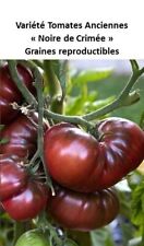 Graines récolte 2024 d'occasion  France