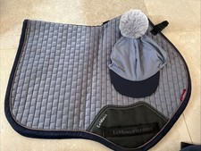 Mieux jay blue for sale  CHESHAM