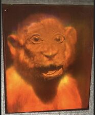 True laser hologram. for sale  San Diego