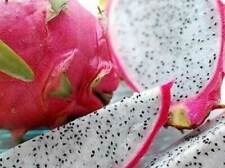 Hylocereus undatus frutto usato  Italia