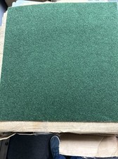 Grizzly grass fern for sale  Anderson