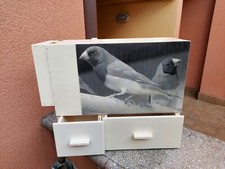 Soffiasemi depolverizzatore ri usato  Bientina