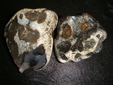 Old montana dendritic for sale  Dyer