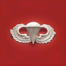 Jump wings pin for sale  Staten Island