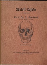 Skelett tafeln prof gebraucht kaufen  Esslingen am Neckar