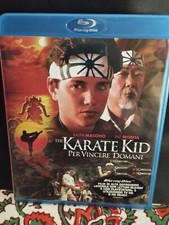 Karate kid trilogia usato  Chieti