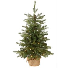 National tree company for sale  USA