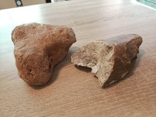 Mammut fossilien zahn gebraucht kaufen  Emden