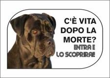 Cartello segnaletico cane usato  Acate