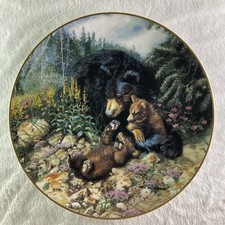 Bear hug plate for sale  Vergas