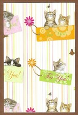 Kitten gift wrap for sale  Heflin