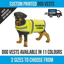 Personalised vis assistance for sale  CALDICOT