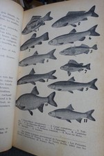 Technique pêche coup d'occasion  Parthenay
