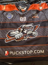 Sheffield steelers 30th for sale  BRIGHOUSE