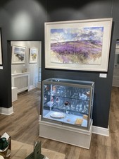 Glass jewellery display for sale  HARROGATE