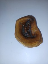 Busted ravioli walnut for sale  Wrentham