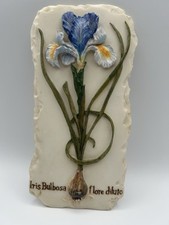 Chen blum iris for sale  Mulino