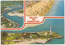 Cavallino venezia saluti usato  Italia