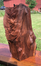 Black walnut blank for sale  Head Waters