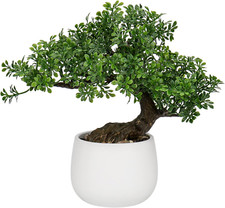 Dilatata fake bonsai for sale  Denver
