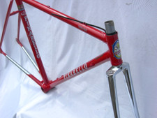 Pinarello treviso red for sale  LONDON