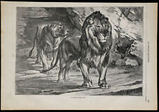 1869 lions oued d'occasion  Gy