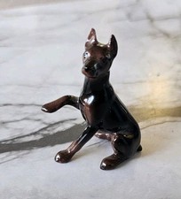 mini doberman for sale  Broomfield