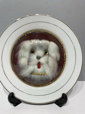 bichon maltese for sale bichon maltese for sale NORWICH