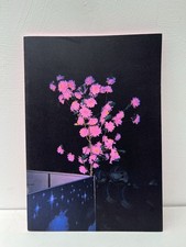 Shooting tiger. photobook for sale Shooting tiger. photobook for sale  LONDON