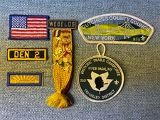 Webelos dutchess county for sale  Somers