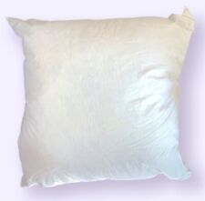 Large pillow insert for sale  Burbank