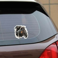 Auto motorrad aufkleber gebraucht kaufen  Bad Buchau