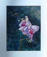 Aquarell rchidee 30x40 gebraucht kaufen  Wuppertal