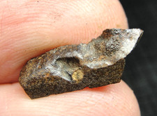 Nwa 14400 meteorite for sale  Hebron