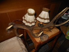 Schöne alte geweihlampe gebraucht kaufen  Dortmund