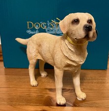 Yellow labrador retriever for sale  CHELTENHAM