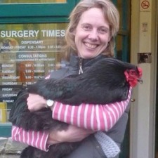 partridge brahma hatching eggs for sale  SEDBERGH