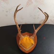 Deer hunters point for sale  Madison