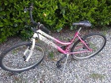 Bicicletta mountain bike usato  Cesano Maderno