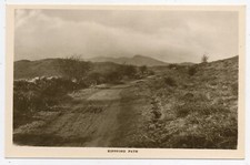 Kippford path dumfries for sale  WORKINGTON