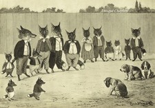 Foxes 1894 louis for sale  WORCESTER