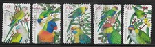 2005 australian parrots for sale  NEWCASTLE UPON TYNE