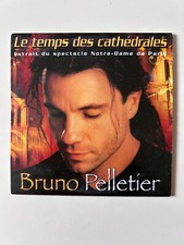 Bruno pelletier temps d'occasion Bruno pelletier temps d'occasion  Sens