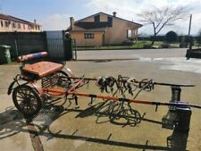 Calesse epoca ferro usato  Borgo Virgilio