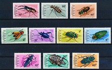 insectes d'occasion  Antwerpen