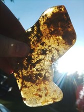 Natural grams colombian for sale  Priest River