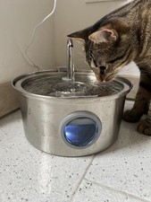 Articoli per gatti usato  Bologna