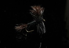 Wulff noir mouche d'occasion  Clermont-Ferrand-